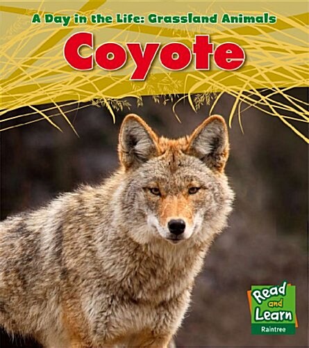 Coyote (Hardcover)