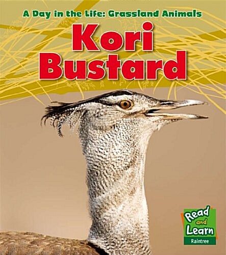 Kori Bustard (Hardcover)