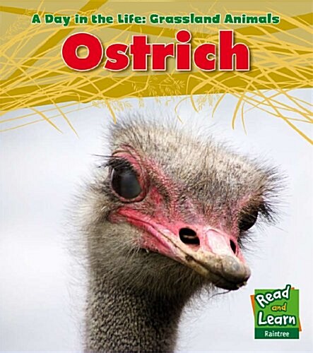 Ostrich (Hardcover)