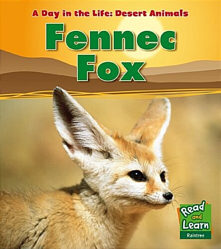 Fennec Fox (Hardcover)