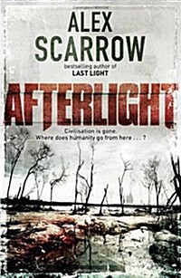 Afterlight (Paperback)