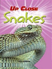 Up Close: Snakes (Paperback)