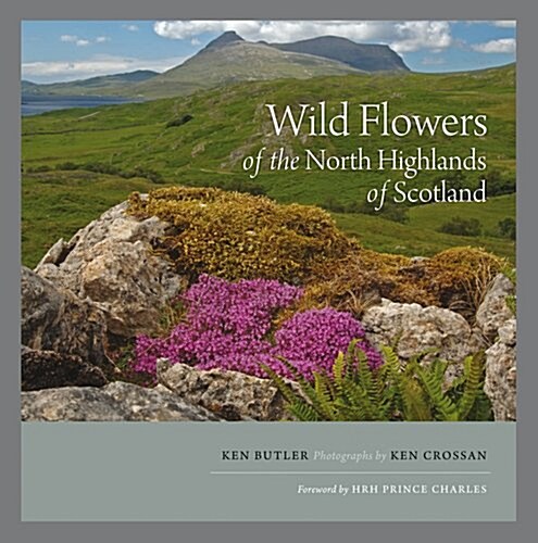 Wild Flowers of the North Highlands of Scotland (Paperback)