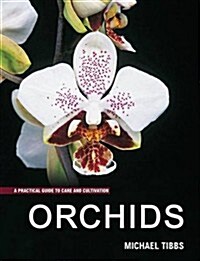 Orchids (Paperback)