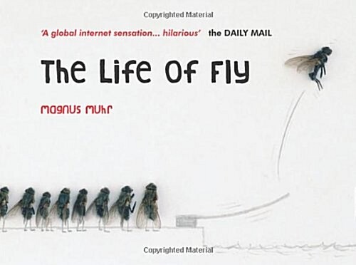 The Life of Fly (Hardcover)