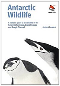 Antarctic Wildlife – A Visitor`s Guide (Paperback)
