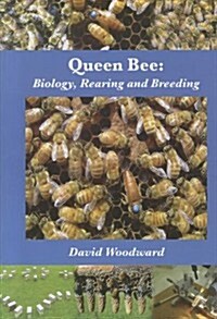 Queen Bee : Biology, Rearing and Breeding (Paperback)