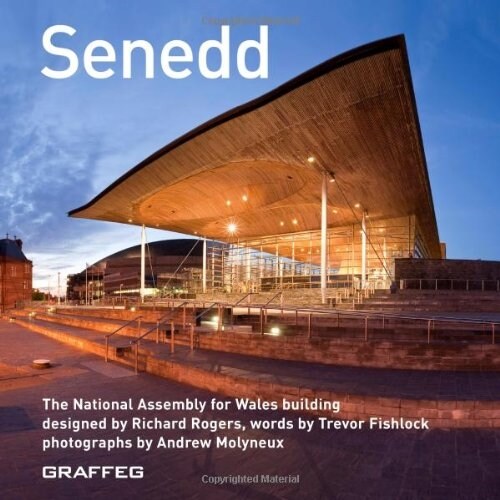 Senedd (English) (Paperback)