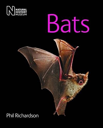 Bats (Paperback, Revised and reformatted ed)