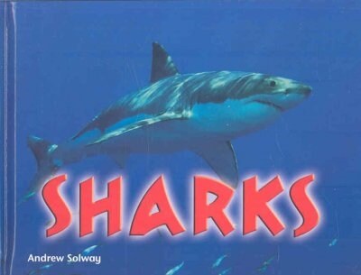 Sharks (School & Library, 1st)