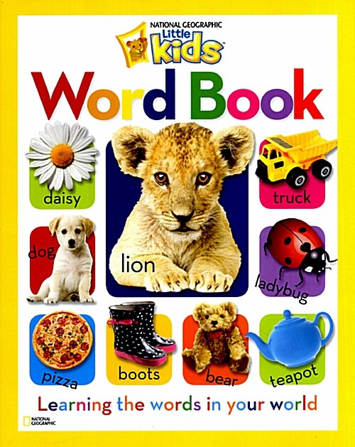 Word Book: Learning the Words in Your World (Hardcover)