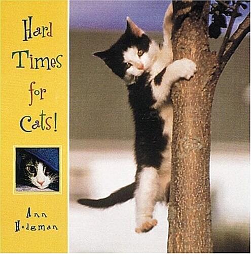 Hard Times for Cats (Hardcover)