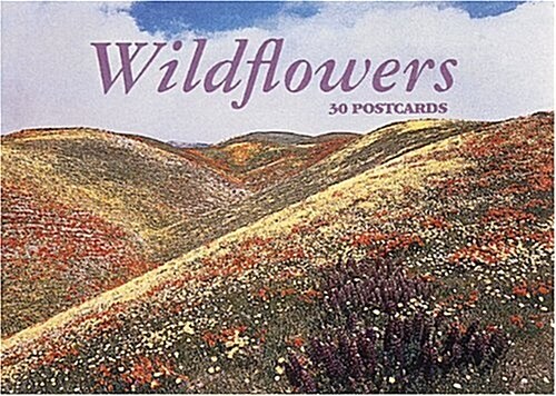 Wildflowers (Paperback)