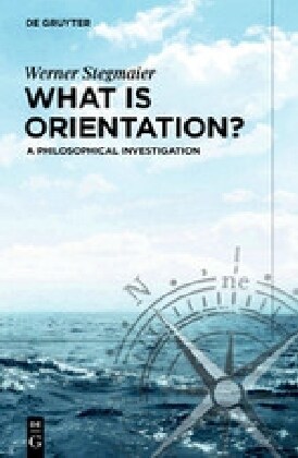 What Is Orientation?: A Philosophical Investigation (Paperback)