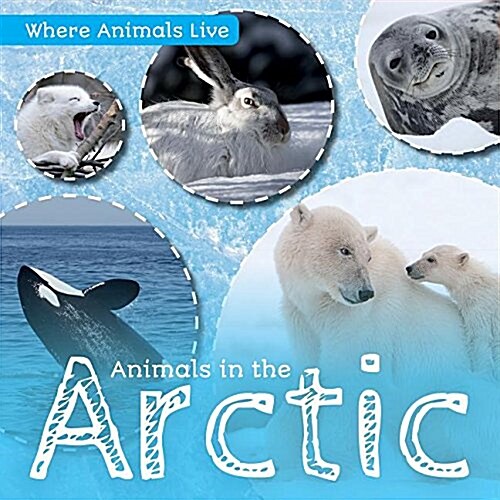 Animals in the Arctic (Paperback)