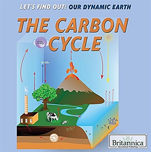 The Carbon Cycle (Library Binding)