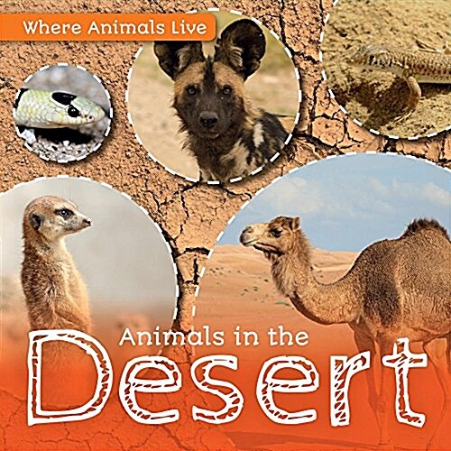 Animals in the Desert (Paperback)