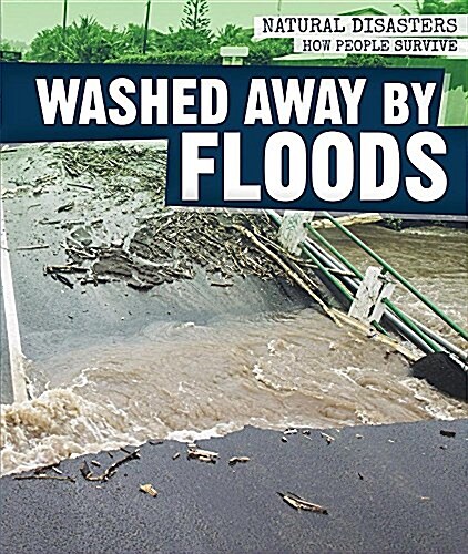 Washed Away by Floods (Library Binding)