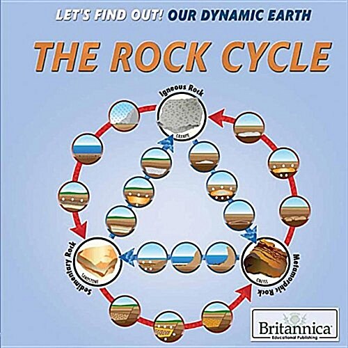 The Rock Cycle (Library Binding)