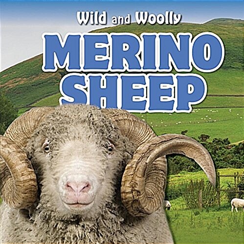 Merino Sheep (Library Binding)