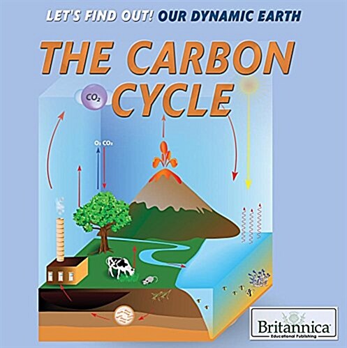The Carbon Cycle (Paperback)