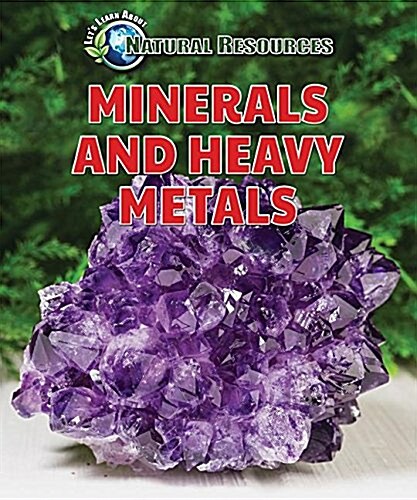 Minerals and Heavy Metals (Paperback)