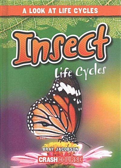Insect Life Cycles (Library Binding)