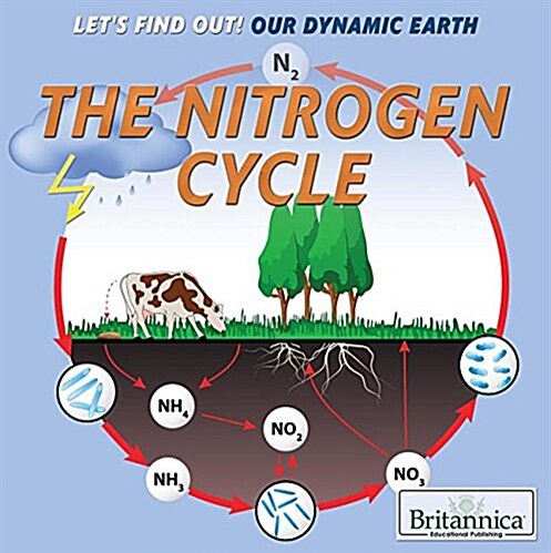 The Nitrogen Cycle (Paperback)