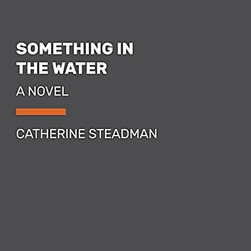 Something in the Water (Paperback, Large Print)