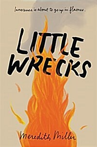 Little Wrecks (Paperback)