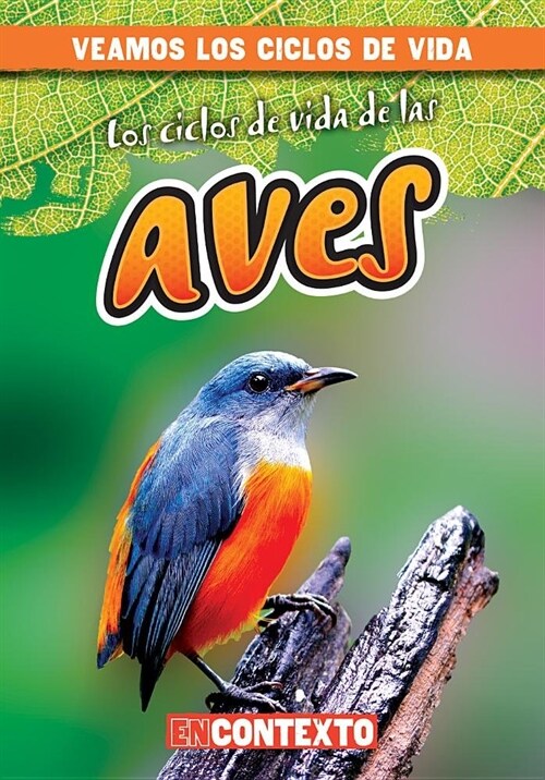 Los Ciclos de Vida de Las Aves (Bird Life Cycles) (Paperback)