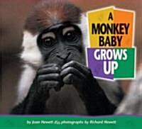 A Monkey Baby Grows Up (Library)