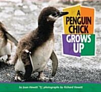 A Penguin Chick Grows Up (Library Binding)