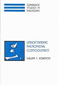 Understanding Phenomenal Consciousness (Hardcover)