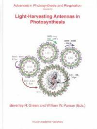 Light-harvesting antennas in photosynthesis