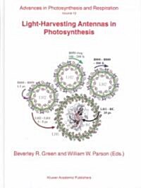 Light-Harvesting Antennas in Photosynthesis (Hardcover, 2003)