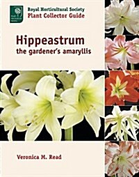 Hippeastrum: The Gardeners Amaryllis (Hardcover)