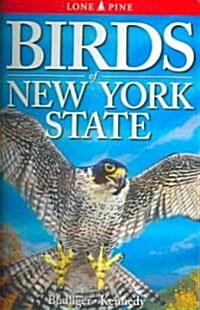 Birds of New York State (Paperback)