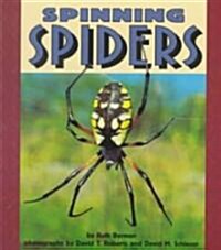 Spinning Spiders (Paperback)