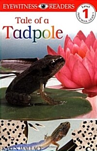 [중고] Tale of a Tadpole (Paperback)