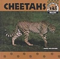 Cheetahs (Library Binding, Rev)