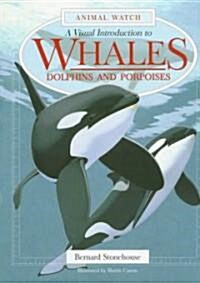 A Visual Introduction to Whales, Dolphins and Porpoises (Hardcover)