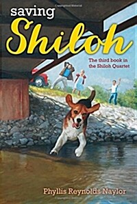 [중고] Saving Shiloh (Paperback)