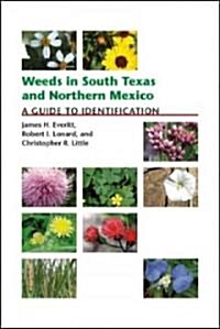 Weeds in South Texas and Northern Mexico: A Guide to Identification (Paperback)