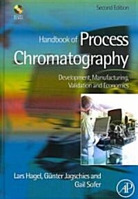 Handbook of Process Chromatography (Hardcover, CD-ROM, 2nd)