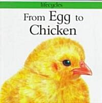 From Egg to Chicken (Paperback)
