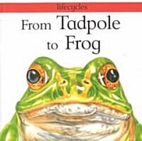[중고] From Tadpole to Frog (Paperback)
