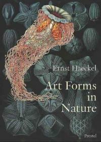 Art forms in nature : the prints of Ernst Haeckel