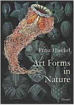 Art Forms in Nature: The Prints of Ernst Haeckel (Paperback)