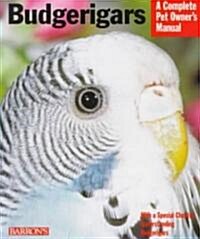 Budgerigars (Paperback)